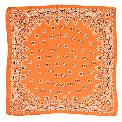 Pañuelo Profesional Estampado Paisley 70cm para Mujer - Image 10