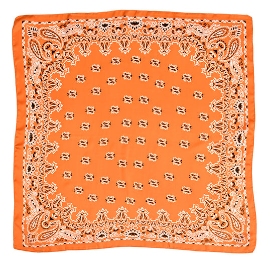 Pañuelo Profesional Estampado Paisley 70cm para Mujer - Image 10