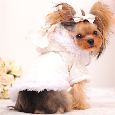 Chaqueta de Terciopelo con Detalles de Encaje Blanqueado - Image 14