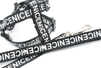 Collar de Tracción para Perros en Poliéster PET Resistente - Image 3