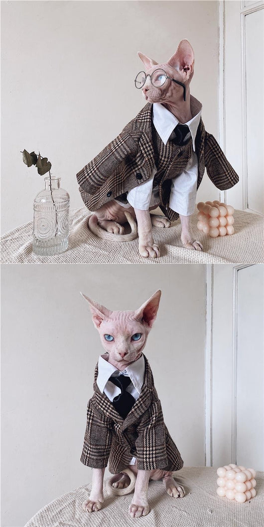 Traje Elegante para Gatos Sphynx y Razas sin Pelo - Image 24