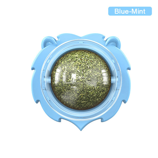 Juguete Mordedor Molar para Gatos con Hierba Gatera Adhesiva - Image 7