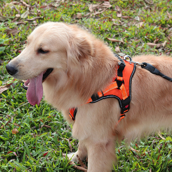 Arnés de Pecho Anti-Tirón para Perros Grandes
