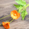 3 Flowers And 1 Bud Naranja