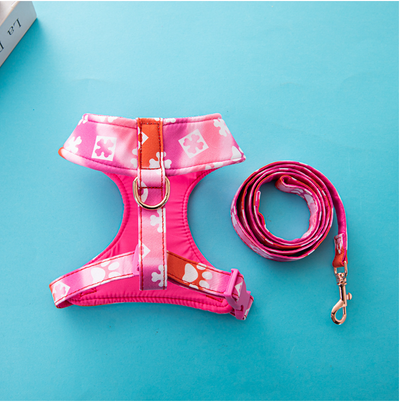Arnés de Moda para Perro con Cuerda de Tracción Premium - Image 3