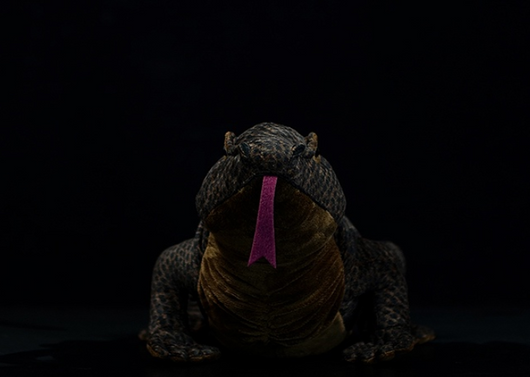 Peluche Dragón de Komodo Realista - Image 7
