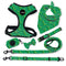 Verde Little Dinosaur S