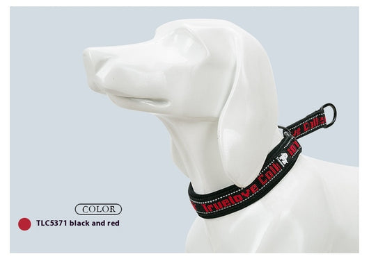 Collar Ajustable para Perro Truelove con Tela de Buceo Reflectante - Image 33