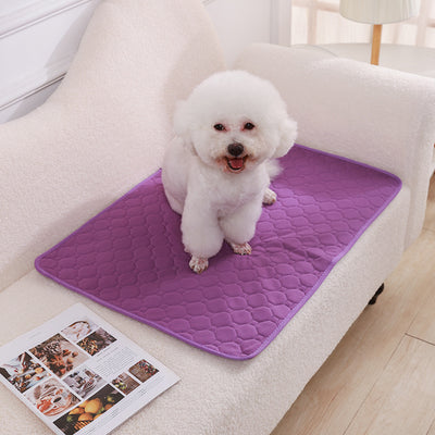 Pañal Lavable para Perros con Almohadilla Absorbente Antideslizante - Image 5