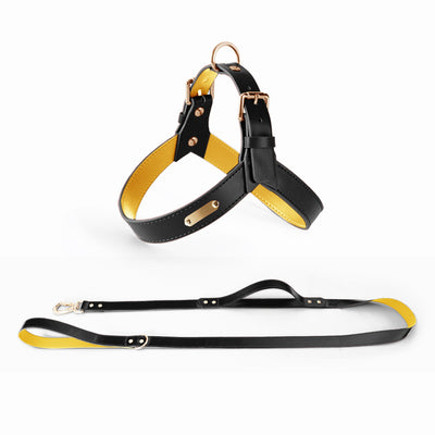 Arnés Chaleco para Perros y Gatos - Correa de Pecho Ajustable para Verano - Image 9