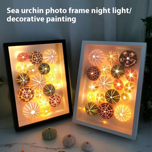 Marco Fotográfico 3D con Concha de Erizo de Mar Artesanal