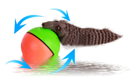 Green and pink two-tone ball with a furry gray beaver-like pet toy on a white background. - Image 9