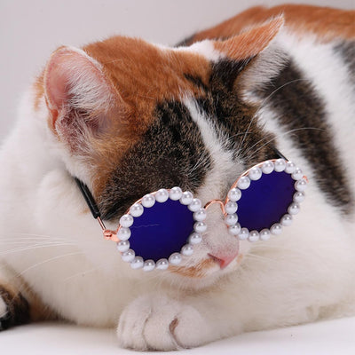 Gafas de Sol Pearl para Mascotas - Accesorios Divertidos y Elegantes para Disfraz de Fiesta - Image 5