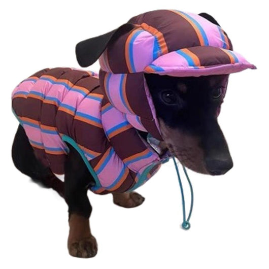 Chaleco Rayado para Mascotas Otoño e Invierno - Image 5