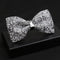 Corbatín Brillante de Diamantes para Hombre