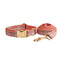 Collar Y Correa Para Perro XS