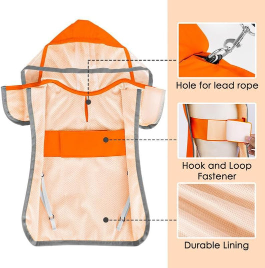 Impermeable para Perros Pequeños con Capucha Transparente - Image 8