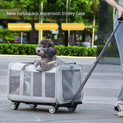 Carrito de Transporte Grande para Gatos - Image 15