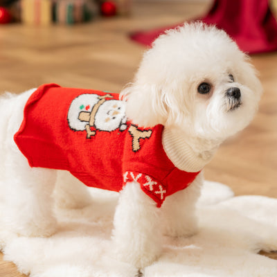 Suéteres Tejidos para Perros y Gatos - Abrigos Cálidos de Invierno - Image 6