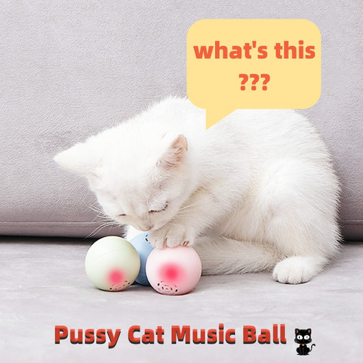 Pelota Musical Interactiva para Gatos - Sonidos y Texturas