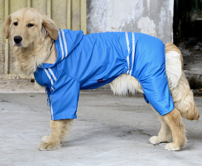 Impermeable para Perros Grandes y Medianos - Image 63