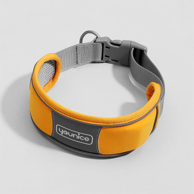 Collar y Correa para Perro Resistente a Tirones con Cierre de Seguridad - Image 14
