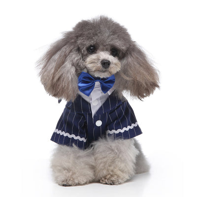 Conjunto de Ropa para Perros - Traje Completo de Moda - Image 40