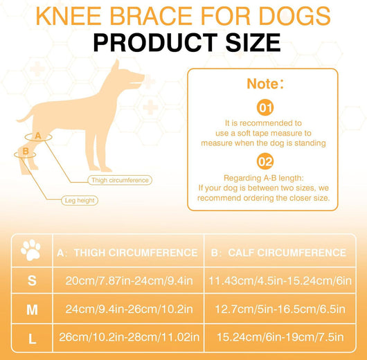 Protector de Rodilla para Perros - Soporte Articular y Cinturón de Protección - Image 14