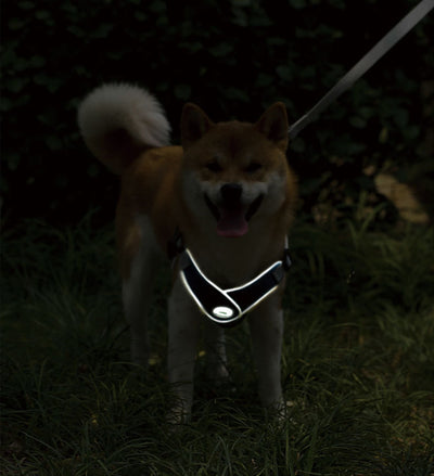 Arnés Ajustable Reflectante para Perros y Gatos - Chaleco de Seguridad con Malla Transpirable - Image 12