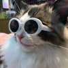 Gafas de Sol Multicolor para Mascotas - Accesorios Cool para Perros y Gatos - Image 7