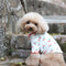 Blusa para Perro con Estampado de Cerezas y Borde Ondulado