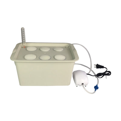 Kit de Cultivo Hidropónico para Balcón - Experimento Soilless - Image 14