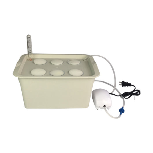 Kit de Cultivo Hidropónico para Balcón - Experimento Soilless - Image 14