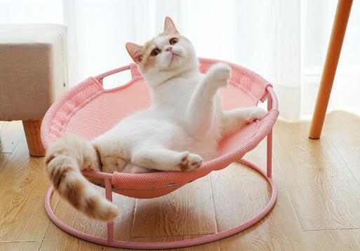 Cama Térmica para Gatos de Cuatro Estaciones - Image 17