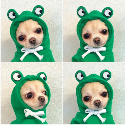 Suéter con Capucha Alce Damasco para Mascotas - Image 11