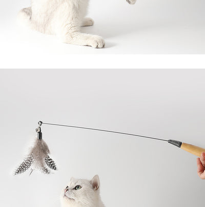 Juguete Interactivo para Gatos con Plumas y Campana - Cabezal Reemplazable - Image 13