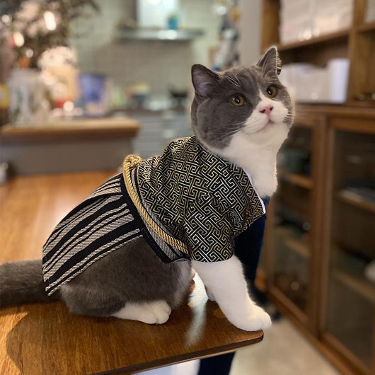 Disfraz de Guerrero Samurái para Perros - Estilo Kimono Japonés