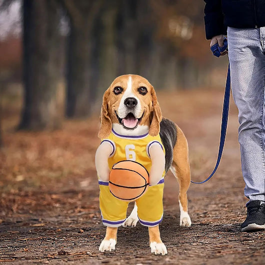 Disfraz de Jugador de Baloncesto para Perros - Outfit Deportivo Divertido - Image 8