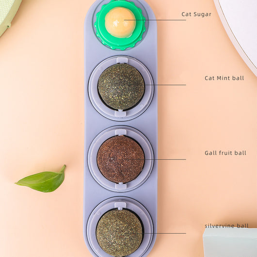 Cat treat dispenser with four lickable balls: cat sugar, cat mint, gall fruit, and silvervine, in a purple holder. - Image 10