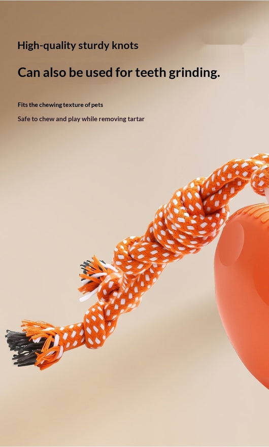 Pelota Interactiva Recargable para Gatos y Perros - Juguete Rodante Duradero - Image 9