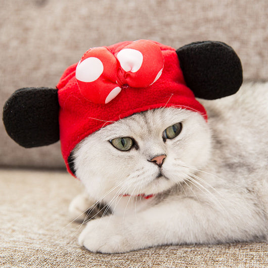 Disfraz Tang Chino para Mascotas - Accesorios de Moda para Perros y Gatos - Image 13