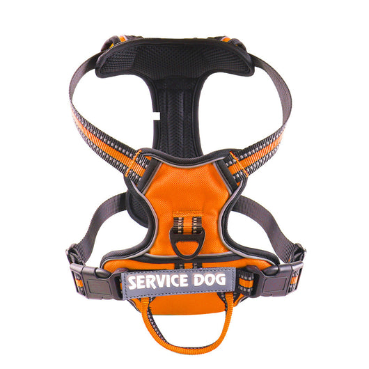 Arnés Personalizado para Perro en Tela Oxford - Image 13