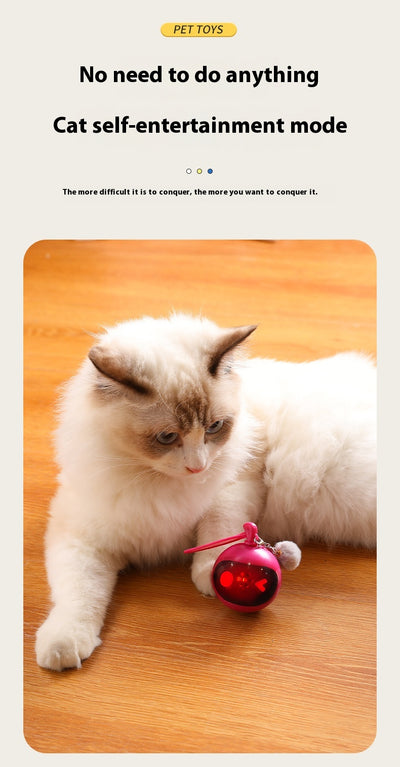 Rose red and black spherical cat toy with a grey pom-pom and suction cup base for self-play. - Image 18