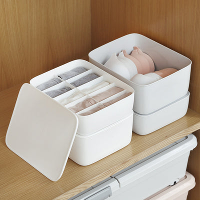 Organizador de Ropa Interior y Accesorios