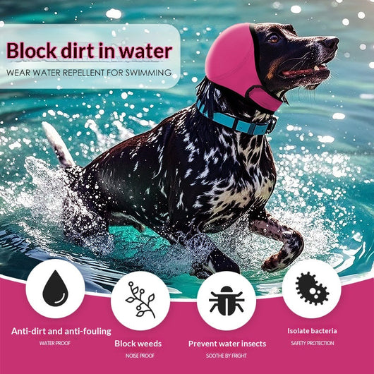 Gorro Impermeable para Perros - Protección Otoño e Invierno - Image 17