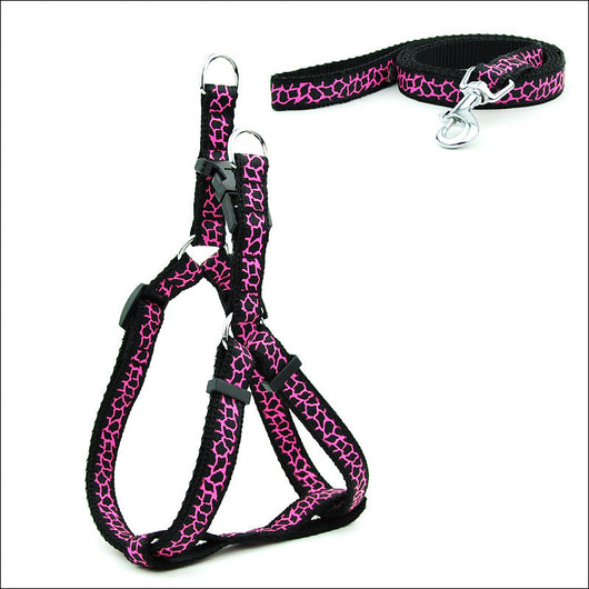 Arnés de Paseo Ajustable para Gatos y Perros Pequeños - Image 20