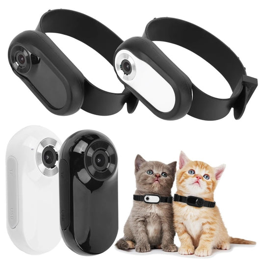 Cámara para Collar de Mascotas - Captura la Aventura de tu Gato - Image 4