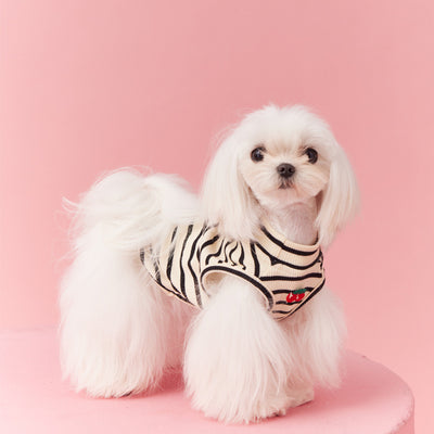 Chaleco sin Mangas Schnauzer Teddy Bichón a Rayas Cerezo