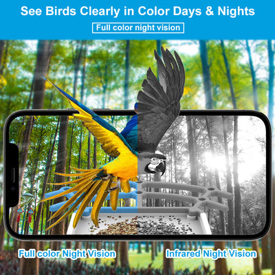Comedero Solar Inteligente para Aves con Reconocimiento HD - Image 3