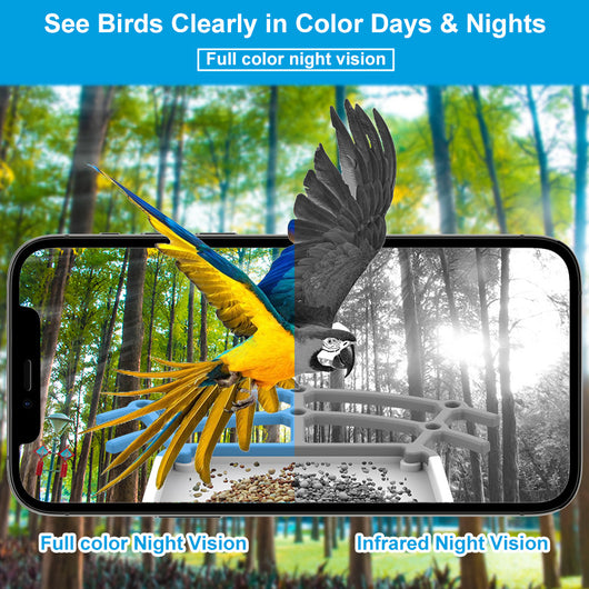 Comedero Solar Inteligente para Aves con Reconocimiento HD - Image 3